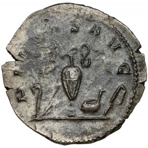 Saloninus (258-260 n. Chr.) Antoninian, Köln - selten
