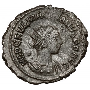 Makrian (260-261 n.e.) Antoninian - rzadki