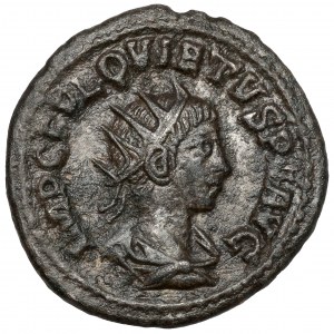 Quietus (260-261 n.e.) Antoninian - RZADKOŚĆ