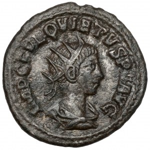 Quietus (260-261 n.Chr.) Antoninian - RICHARD