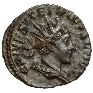 Tetryk II (273-274 n.e.) Antoninian, Trier