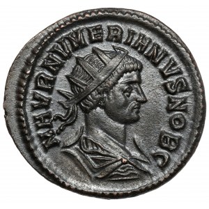 Numerian (283-284 n. Chr.) Antoninian, Ticinum
