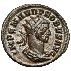 Probus (276-282 n.e.) Antoninian, Rzym