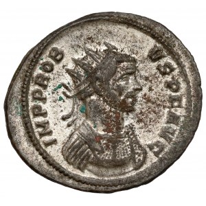 Probus (276-282 n.e.) Antoninian, Rzym