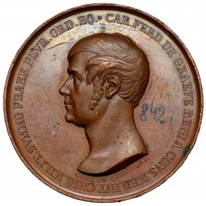 Germany, Medal 1829, Karl Ferdinand von Gräfe