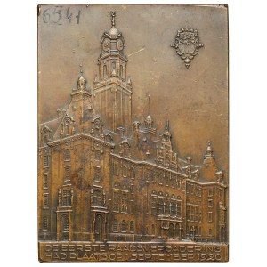 Niderlandy, Plakieta 1920 - De Eerste Raadsvergadering