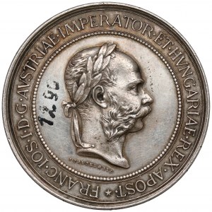 Medaille der Allgemeinen Landesausstellung, Lwow 1894 - SILBER