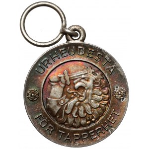 Finlandia, Srebrny Medal za Odwagę