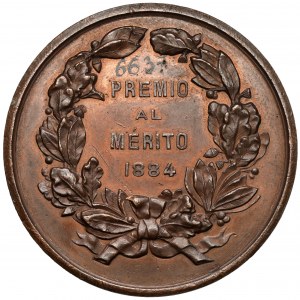 Hiszpania, Medal, Exposicion Agricola... de Salamanca / Premio al Merito 1884