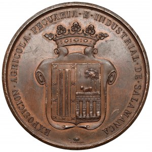 Hiszpania, Medal, Exposicion Agricola... de Salamanca / Premio al Merito 1884