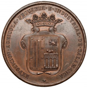 Spain, Medal, Exposicion Agricola... de Salamanca / Premio al Merito 1884