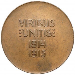 Austria, Franz Joseph I, VIRIBUS UNITIS Medal 1914-1915