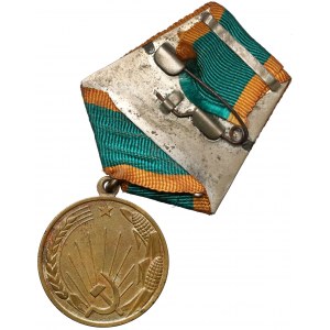 UdSSR, Medaille Für die Erschließung von Neuland.
