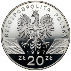 20 złotych 1997 Jelonek Rogacz