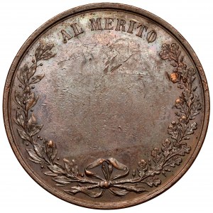 Italy, Medal for Merit - Provincia di Pisa