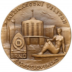 Czechoslovakia, Medallion - B.R.N.O..