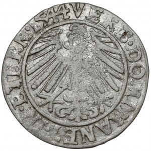 Silesia, Frederick II, penny 1544, Legnica