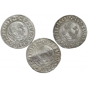 Prussia, Albrecht Hohenzollern, Königsberg penny 1537-1539, set (3pcs)