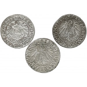 Prussia, Albrecht Hohenzollern, Königsberg penny 1537-1539, set (3pcs)