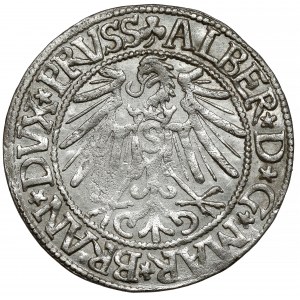 Prusy, Albrecht Hohenzollern, Grosz Królewiec 1545