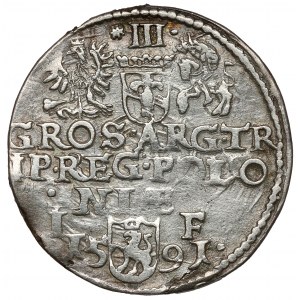 Sigismund III. Vasa, Trojak Olkusz 1591 - großer Kopf