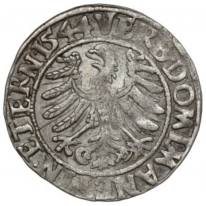 Schlesien, Friedrich II., Pfennig 1544, Legnica