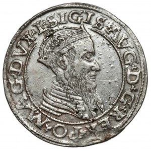 Sigismund II. Augustus, Vierfacher Vilnius 1565