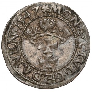 Sigismund I. der Alte, Szeląg Danzig 1547