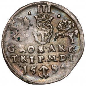 Sigismund III. Vasa, Troika Vilnius 1594