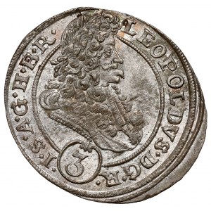 Schlesien, Leopold I., 3 krajcara 1695 MMW, Wrocław