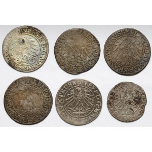Prussia, Albrecht Hohenzollern, Penny and Shelf Königsberg, set (6pcs)