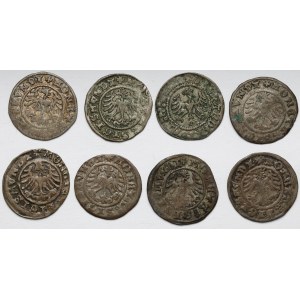 Alexander Jagiellonian and Sigismund I the Old, Cracow half-penny, set (8pcs)