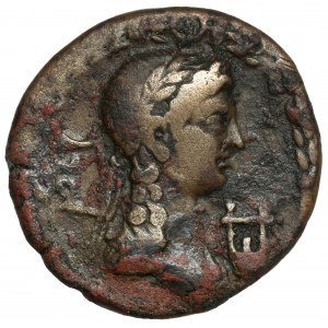 Tiberius (14-37 n.e.) Oea, Syrtica, Bronze - rare