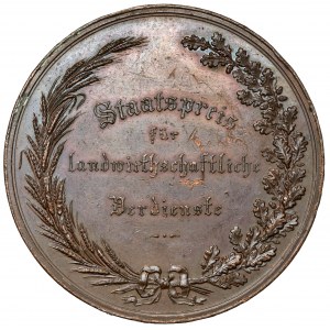 Austria, Franciszek Józef I, Medal bez daty