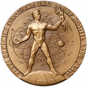 Tschechische Republik, Medaille ohne Datum - Energetiky Rozvojem Komunismu