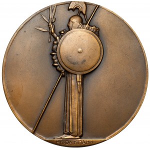 Francja, Medal, Minerwa - syg. P.M.Dammann