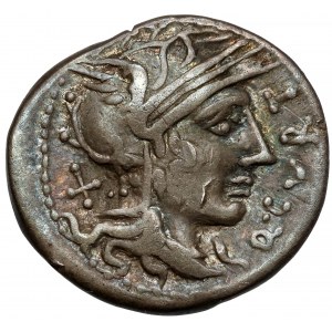 Roman Republic, Q. Curtius (116-115 p.n.e.) Denarius