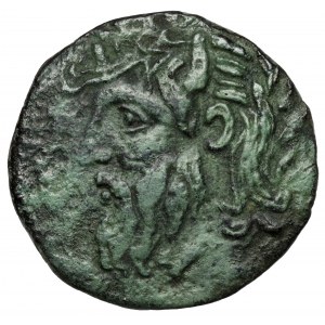 Griechenland, Olbia (330-320 v. Chr.) AE24