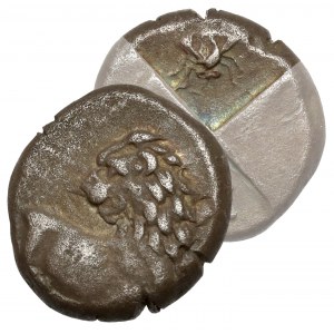 Greece, Thrace, Chersones, Hemidrachm (480-350 BC) - FLY (?) - rare