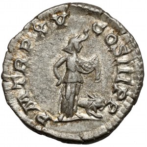 Septimius Sever (193-211 AD) Denarius, Rome