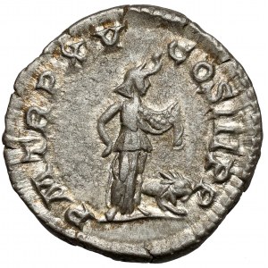Septimius Severus (193-211 n. Chr.) Denarius, Rom