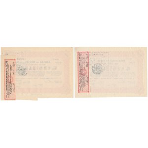 H. CEGIELSKI Tow. Akc., 100 Zloty und 2x 100 Zloty 1929 (2 Stck.)