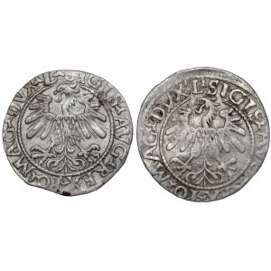 Sigismund II Augustus, Half-penny Vilnius 1559 and 1560 - A without beams (2pcs)