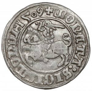 Sigismund I. der Alte, Halber Pfennig Vilnius 1509