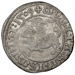 Sigismund I. der Alte, Halber Pfennig Vilnius 1509