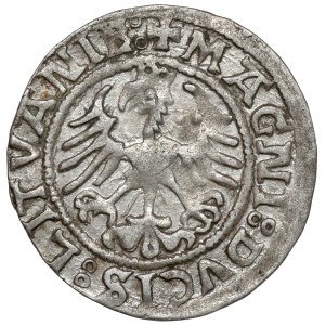 Zygmunt I Stary, Półgrosz Wilno 1521