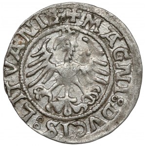 Sigismund I. der Alte, Halber Pfennig Vilnius 1521