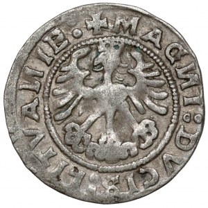 Sigismund I. der Alte, Półgrosz Wilno 1519