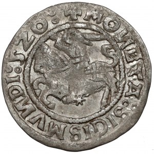 Sigismund I the Old, Vilnius 1520 half-penny - rare