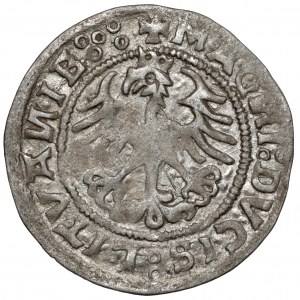 Sigismund I. der Alte, Vilnius 1520 halber Pfennig - selten